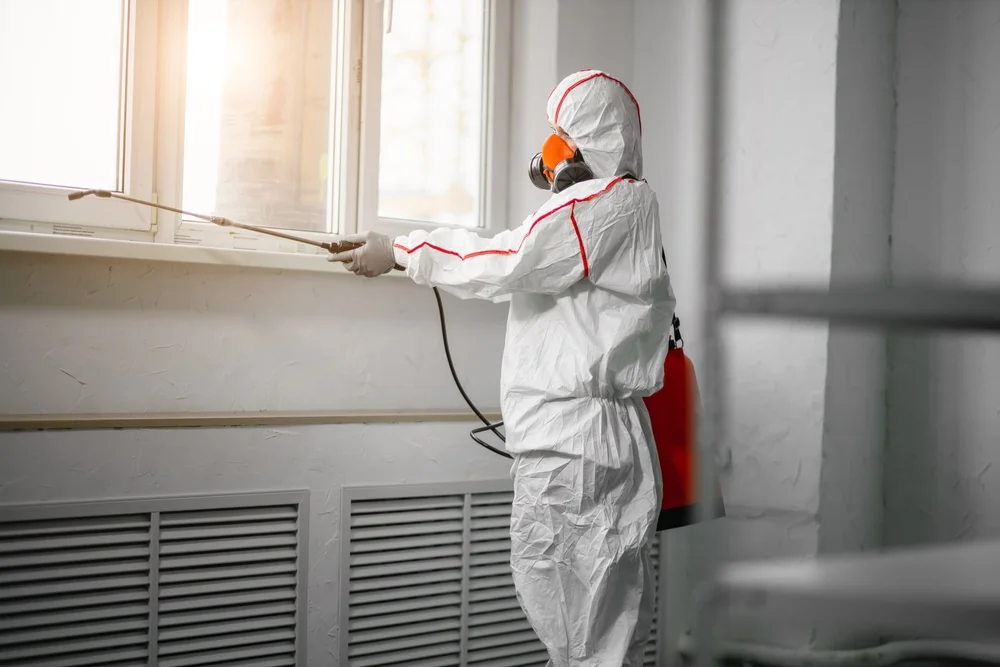 Professional mold remediation services in Winter Springs, FL